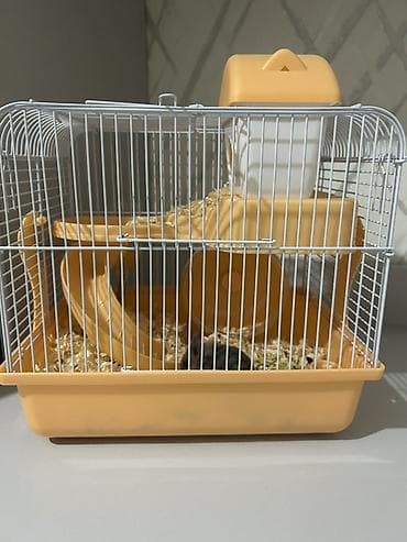 Heyvanlar üçün mallar: Cırtdan hamster və qəfəs dəsti Üsdündə çimək üçün qum və hamıstır — 4