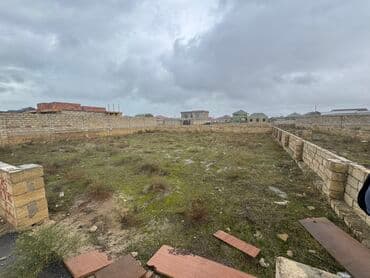 e suleymanov kucesi: 5 sot, Tikinti, Mülkiyyətçi, Kupça (Çıxarış) — 4