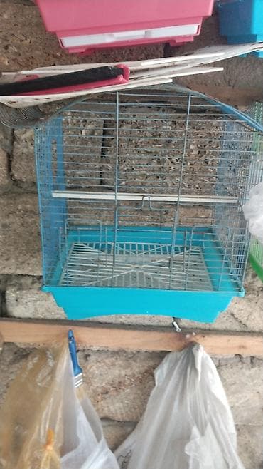 quş qefes: Watsapla elaqe saxlayin en yeke qefesler 60 azn 15-20 azn var Quş — 6
