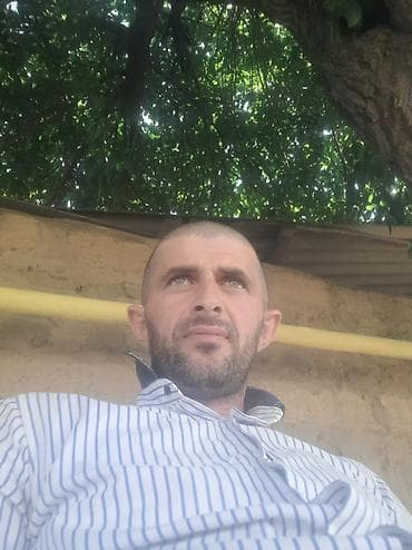bahar qesebesi: Xeyal usda pol patloq isdyasqa ev horgusu noldan ev fidamed kimin — 1