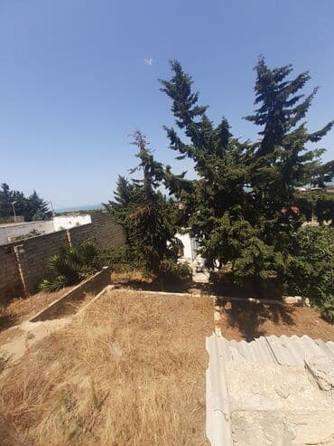 tap az bag evleri pirsagida: Bakı, Görədil, 65 kv. m, 1 otaqlı, Hovuzsuz, Qaz, Su, Kanalizasiya — 7