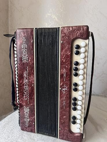 Musiqi alətləri: MUSİQİ ALƏTİ: Qarmon/akkordeon - Korpus: qırmızı-mərmər teksturalı — 1