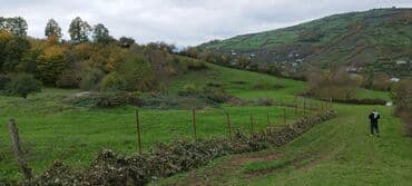 obyekt ucun torpaq: 55 sot, Kənd təsərrüfatı, Maklerlər narahat etməsin, Kupça (Çıxarış) — 1