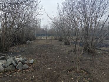 kirayə evler azadliq: Kənd təsərrüfatı — 3