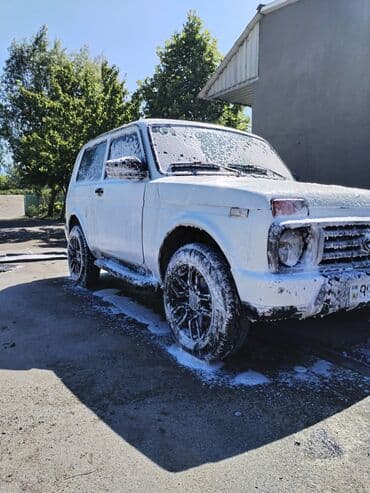 işlənmiş traktorların satışı: VAZ (LADA) 4x4 Niva: 1.7 l | Ofrouder/SUV — 8