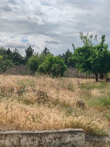 binə emlak: 17 sot, Tikinti, Maklerlər narahat etməsin, Kupça (Çıxarış) — 8