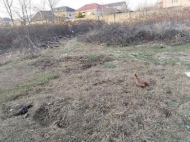 pirallahida torpaq satilir: 1 sot, Biznes üçün, Barter mümkündür, Kupça (Çıxarış) — 7