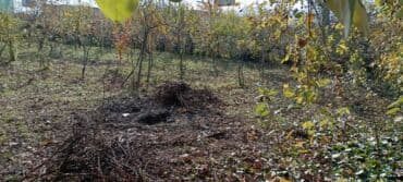 quba amsar: 4 sot, Maklerlər narahat etməsin, Kupça (Çıxarış) — 3