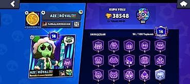 Ovçuluq və balıqçılıq: Brawl Stars hesabı – yüksək səviyyəli, zəngin kolleksiya Ümumi — 2