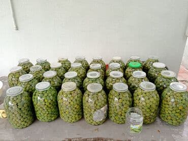 zeytun qiymeti: Zeytun ela veziyyetde — 1