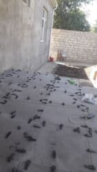 sehf qapi: Kafel metlax- Keramaqranit və suvaq Ustasıyam . Sizin işdən razı — 22