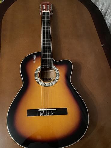 Велоаксессуары: Классическая гитара — 2