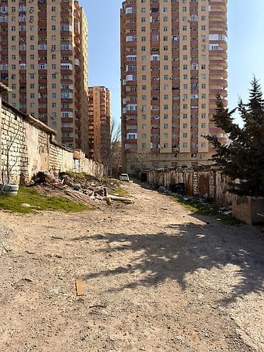 ovcharka satılır: Ehmetlide qara satilir lela sadig evinin yani yamasi var 19 kv sendei — 4