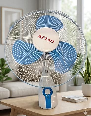 tavan ucun ventilyator: Ventilyator tavan üçün 40 azn qiymət Avtomobildə su, salfet — 2