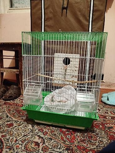 qefesler: Yuva ile birlikde. 2 yem qabi. 1 su qabi. Torbasi. Taxtasi. Teze — 2