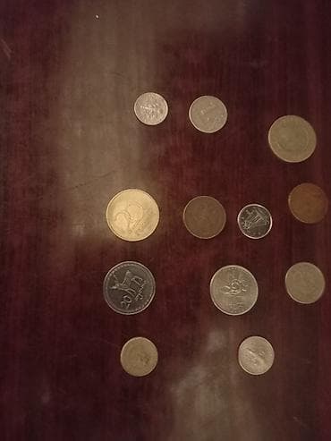 Ovçuluq və balıqçılıq: Basqa olkenin qepikleri yaxsi vezyetdediler bos bos zeng etmeyin — 1