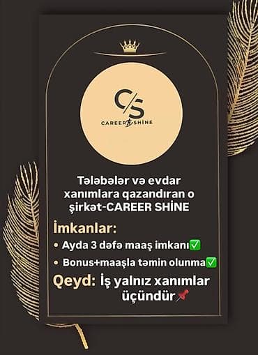 Əməkdaş axtarışı (vakansiyalar): Online iş elanı – “Career Shine” - İş saatı: İstənilən saat, sərbəst — 4