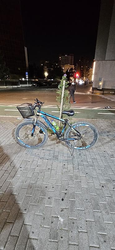 29 luq velosipedlər: Şəhər velosipedi 29" — 4