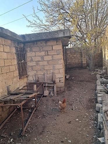 sedmoyda kiraye evler: Для строительства — 7