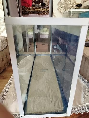 induşka qiyməti: Akvarium satılır . 80×21. hündürlük 40 sm . 3 ədəddir. arxası — 2