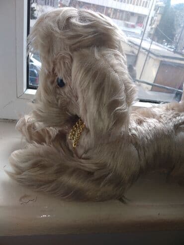 Другой декор и предметы интерьера: Фигура, цвет - Бежевый — 4