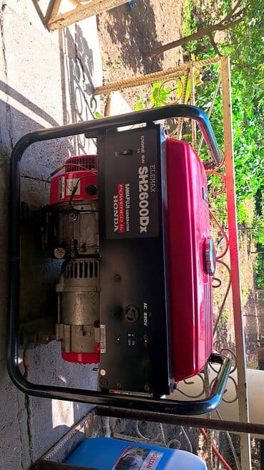 drujba matoru: Işıq matoru ( Generator) — 1