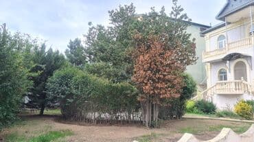 xacmaz obyekt: Badamdar da Hərbi qospitalın yanında 6 sotun içində olan 2 mərtəbli 5 — 30