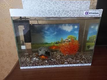 Птицы: Akvaryum dəsti – Artvarium - Şüşə akvaryum, üst və alt dekorativ — 7