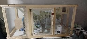 qəfəs satılır: Salam quşlar üçün yuvadır təmiz taxdadan içərisində quş yumurtlaması — 5