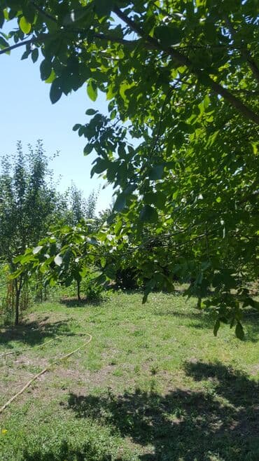 sumqayit corat heyet evleri: 15 sot, Tikinti, Makler, Kupça (Çıxarış) — 5