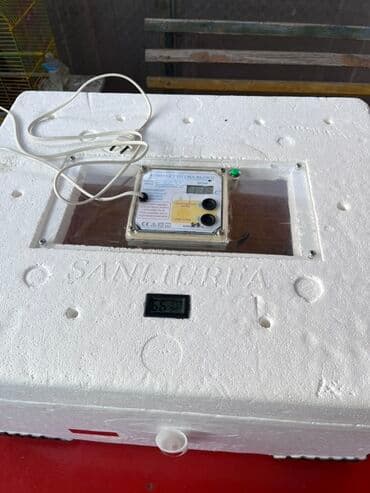 капсульная кофемашина баку: Salam, 63 ədəd yumurtalıq inqubator. Polnu avtomatdır. Yumurtanı özü — 2