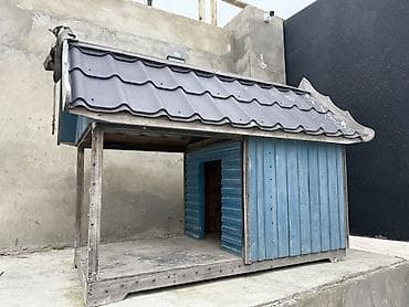 Грызуны: Açıq hava üçün taxtadan it evi - Material: möhkəm taxta karkas, yan — 2