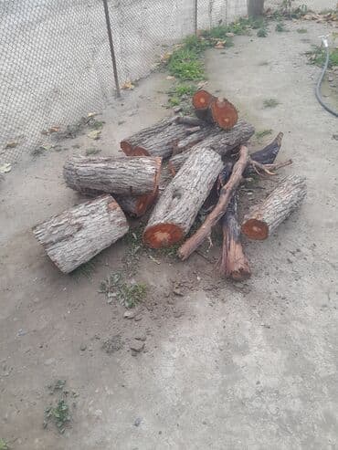 Odun: Odun – ocaq/soba üçün kəsilib doğranmış - Ağac: sərt ağac qarışığı — 2