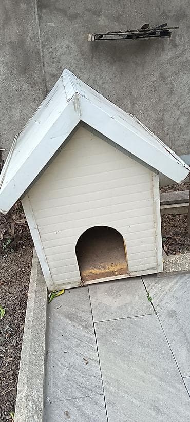 sahibsiz itler: İt evi – açıq havada istifadə üçün - Material: möhkəm taxta karkas — 4