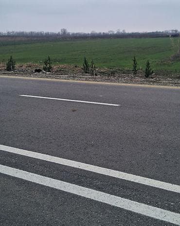 56- сот. для сельского хозяйства