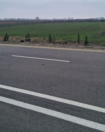 сто ремонт двигателя: Asfalt örtüklü yol, hər iki tərəfində yaşıllıq olan düzənlikdə — 1