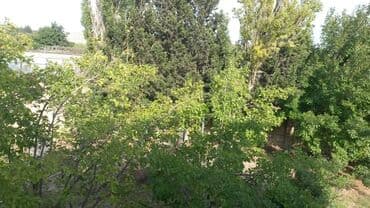 ev certiyojları: Novxanı 2 otaqlı, 250 kv. m, Orta təmir — 7