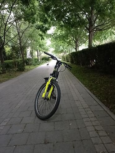 saft velosiped 29: Velosiped – şəhər və yüngül off-road üçün - Tip: Dağ/trekking — 1