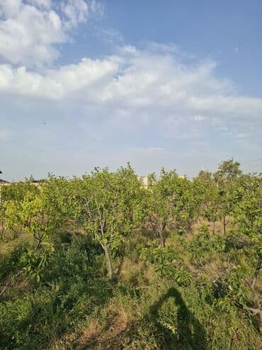 kirayə evlər yeni yasamal: 3 otaqlı, 100 kv. m, Kredit yoxdur, Yeni təmirli — 27