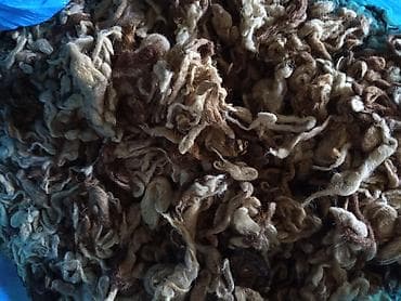 нитки для вязания: Təbii qoyun yunu – qarışıq qəhvəyi/bej tonlarda, qıvrım lifli. - — 1