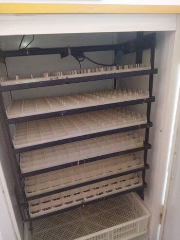 Soyuducu avadanlığı: Generator hediyye verilir!!!Toyuq ucun yalniz 528 yumurta real alici — 4