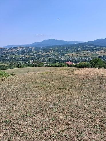 midada ev satilir: 90 sot, Kənd təsərrüfatı, Mülkiyyətçi, Kupça (Çıxarış) — 5
