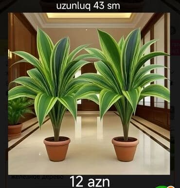 dibcekler: Süni gül. Iri olchulu suni — 10