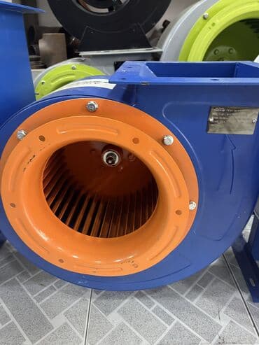 Xırda pər ulitqamız