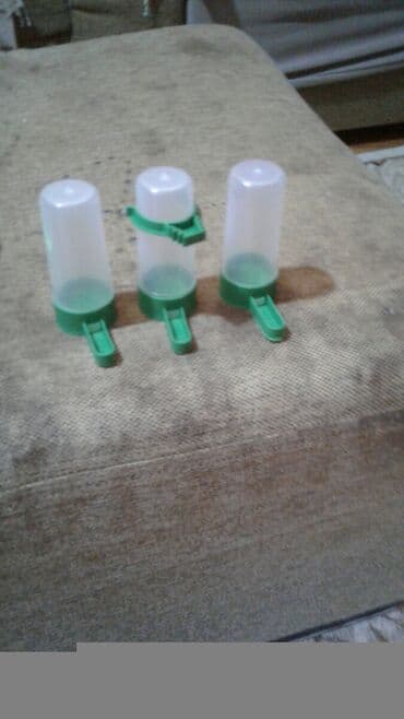 сколько стоит лошадь в азербайджане: Shekilleri cevirin qushlar ucun su qabilari satılır tezediler 1 ededi — 30