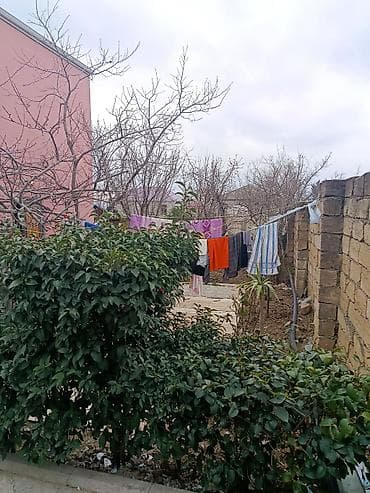 Həyətyanı sahəsi olan yaşayış evi həyəti və köməkçi tikililərlə - — 1