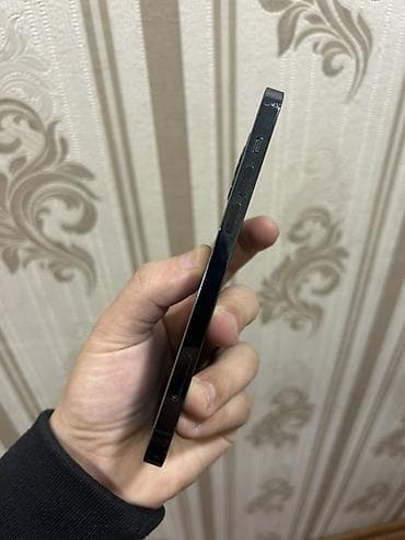 appel: IPhone 12 Pro, Göy, Face ID — 3