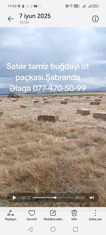 cucə yem qabı: Təmiz buğdayı ot paçkaları satılır. Şabran ərazisində yerləşir. Əlaqə — 1