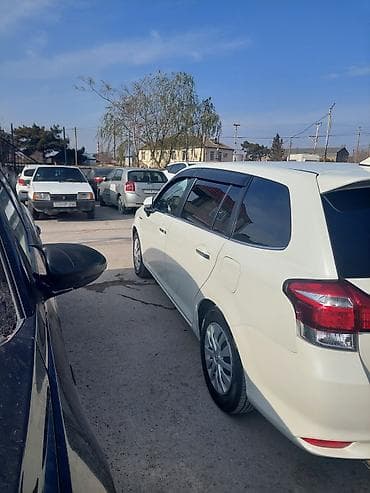 dirək: Toyota Corolla Fielder (hybrid) universal - Ban növü: universal — 6