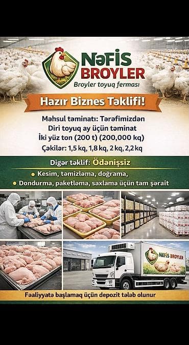 Çox xahiş olunur diqqətlə oxuyun ! Boyuk həcmdə Broyler Toyuq və